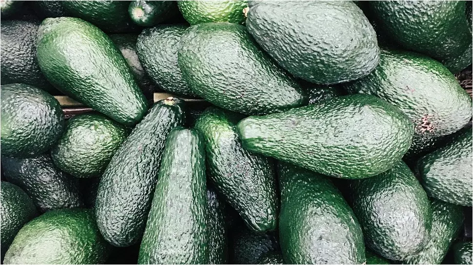 392389-avocado-a-powerful-superfruit-that-fights-cancer-and-protects-your-heart