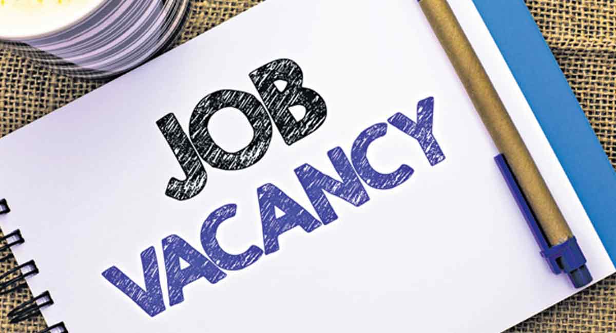 Job-Vacancy