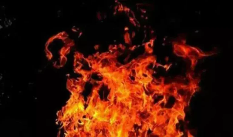 1552955-fire-2-1vjpg-816x480-4g