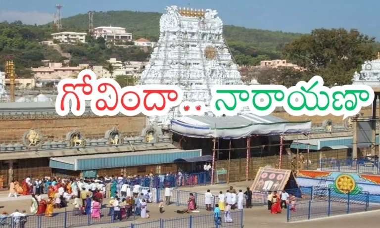 1709109-tirumala