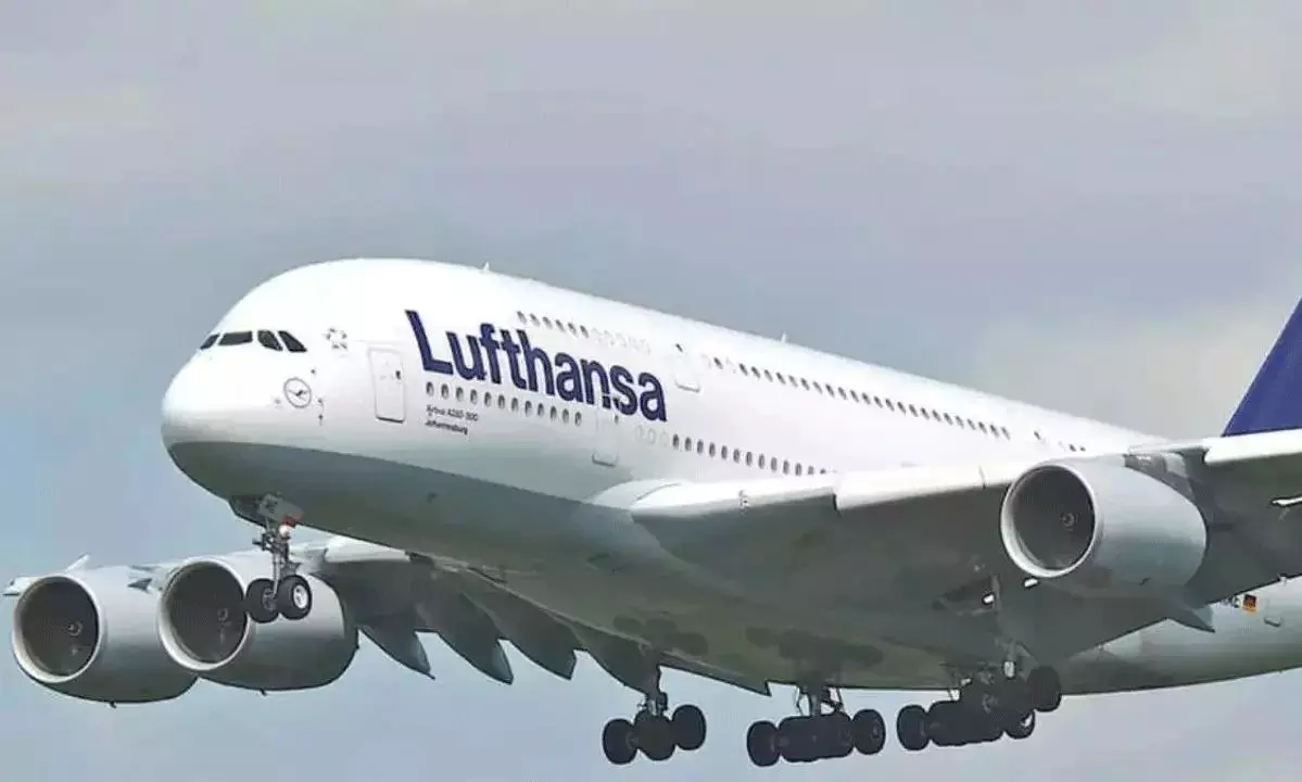 808379-luf