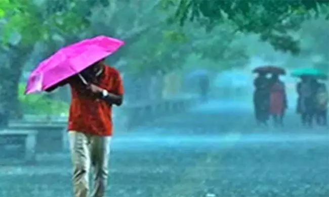 820313-monsoon