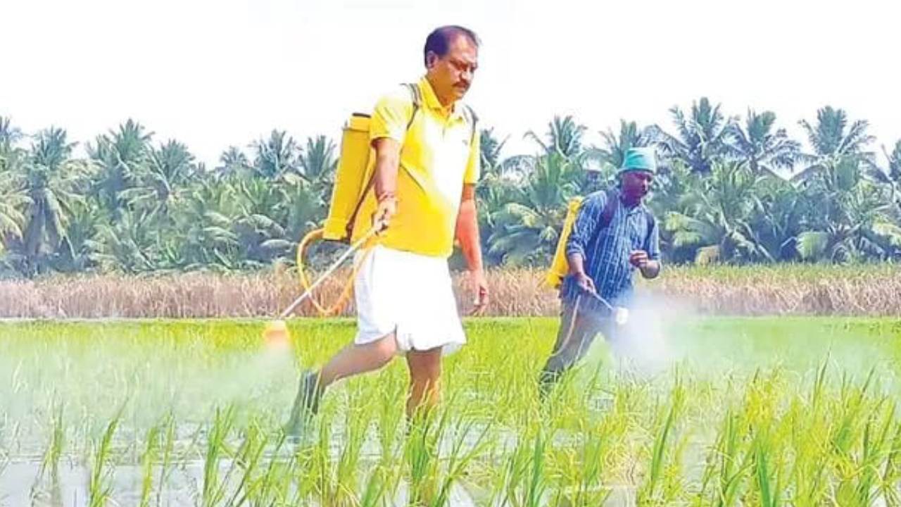 AP-Minister