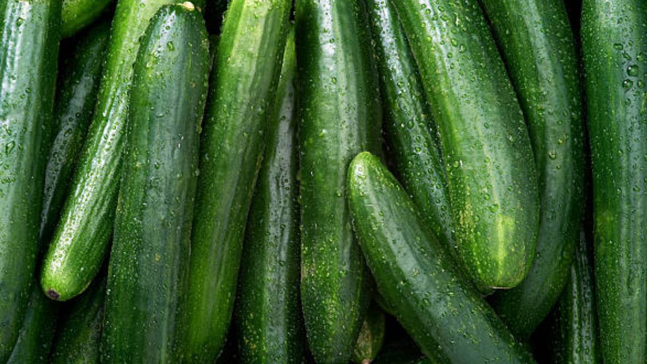 Cucumber