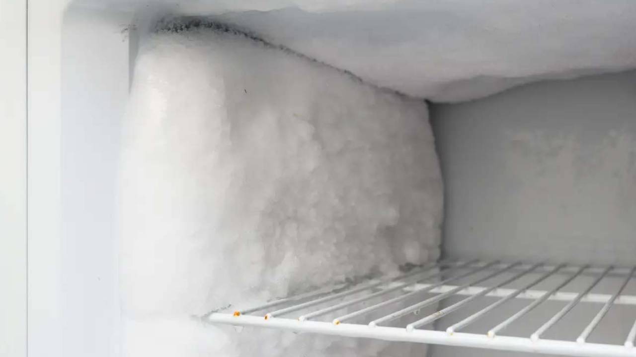 Fridge