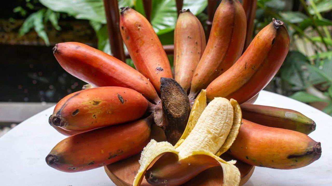 Red-Banana