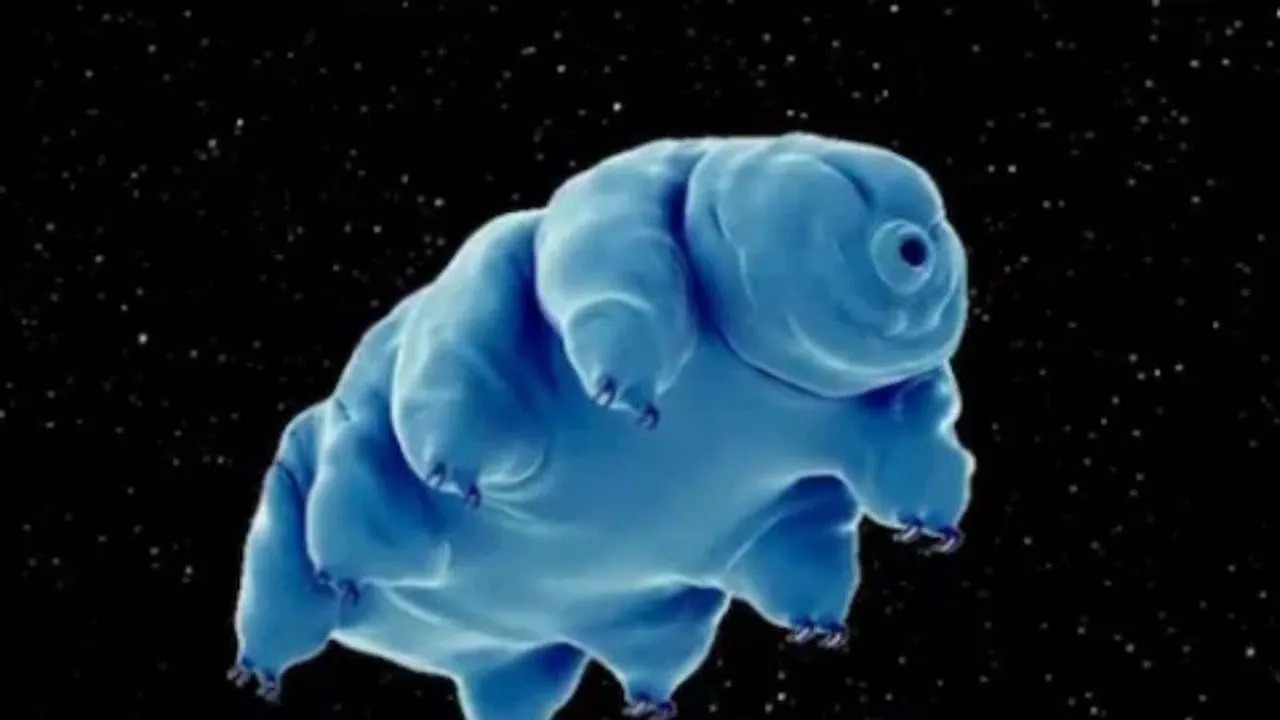 TARTIGRADE_V_jpg--1280x720-4g