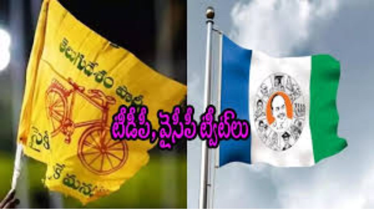 TDP-VS-YCP