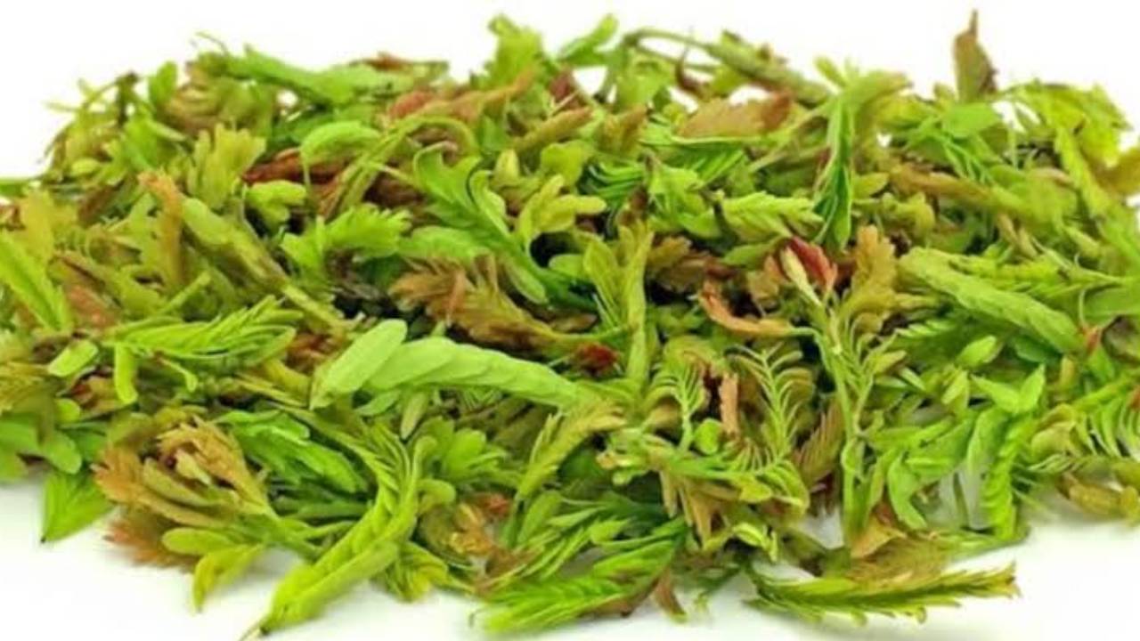 Tamarind