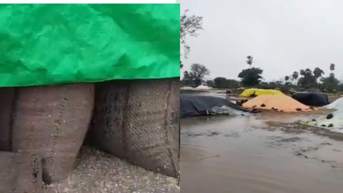 Unseasonal-rains-in-Telangana