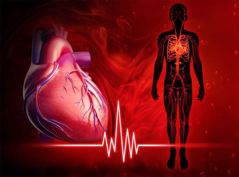 heart