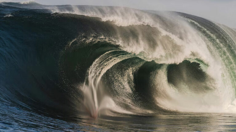 tsunami-1024x576-1