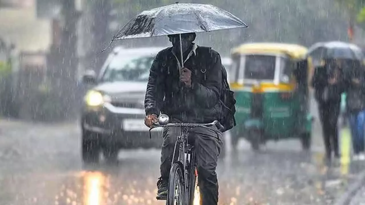1559281-rains