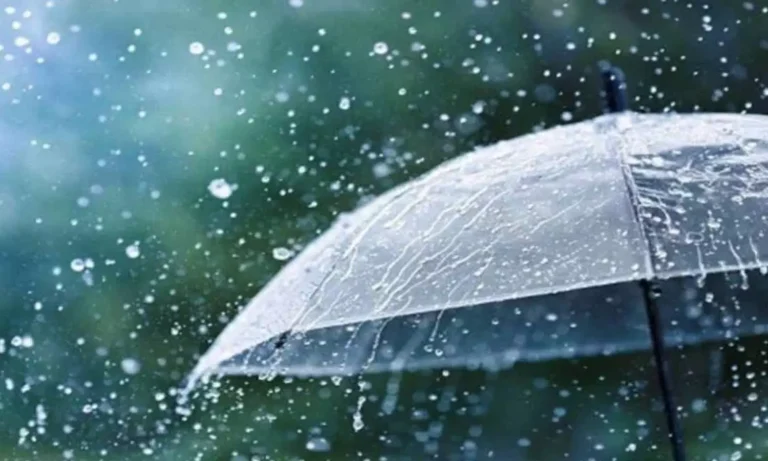 394872-rains