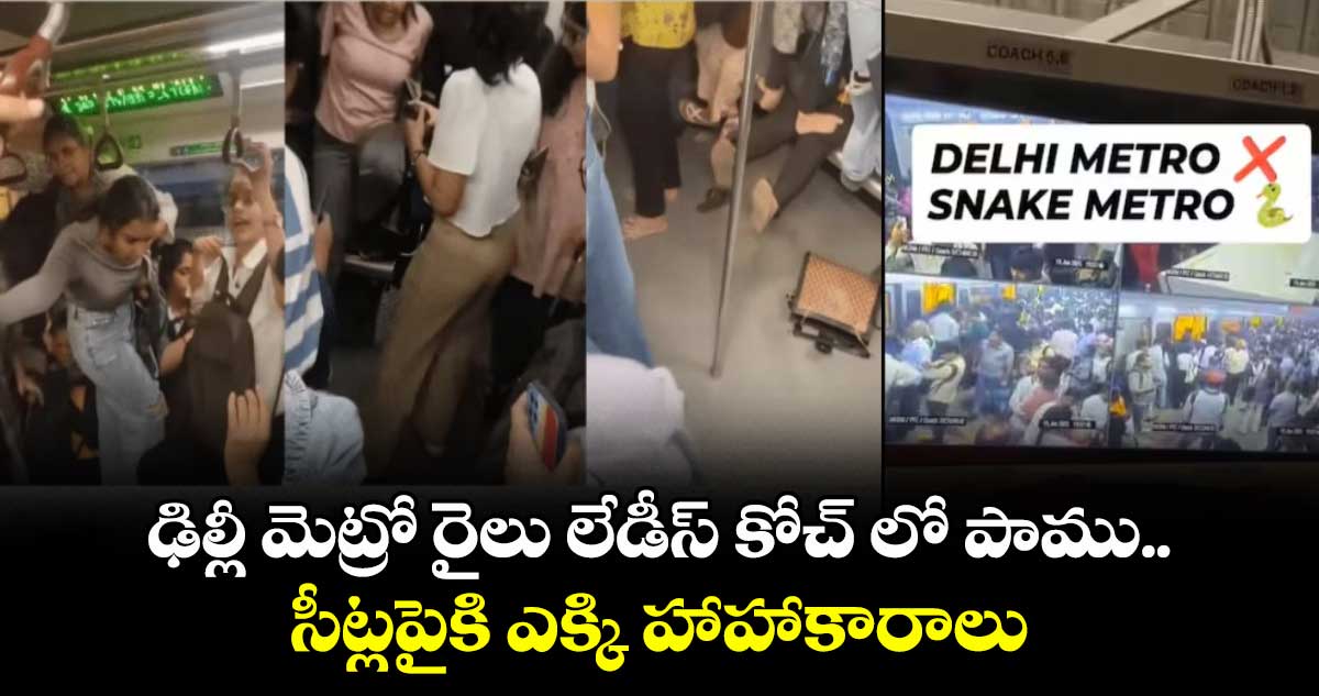 snake-in-delhi-metro-ladies-coach-social-media-quips_Gn6TRMmyet